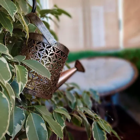 Apartamento Cozy Boho House, Elegance & Comfort In Center